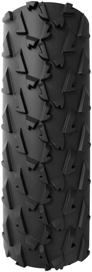 A Dugast Small Bird Tire - 700 x 33 Tubeless Folding BLK/Para Cotton 3C   Neoprene