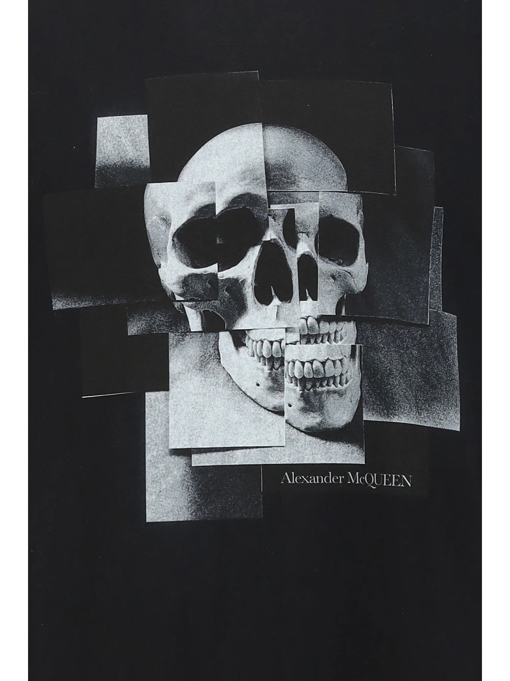 Alexander McQueen Printed Crewneck T-Shirt