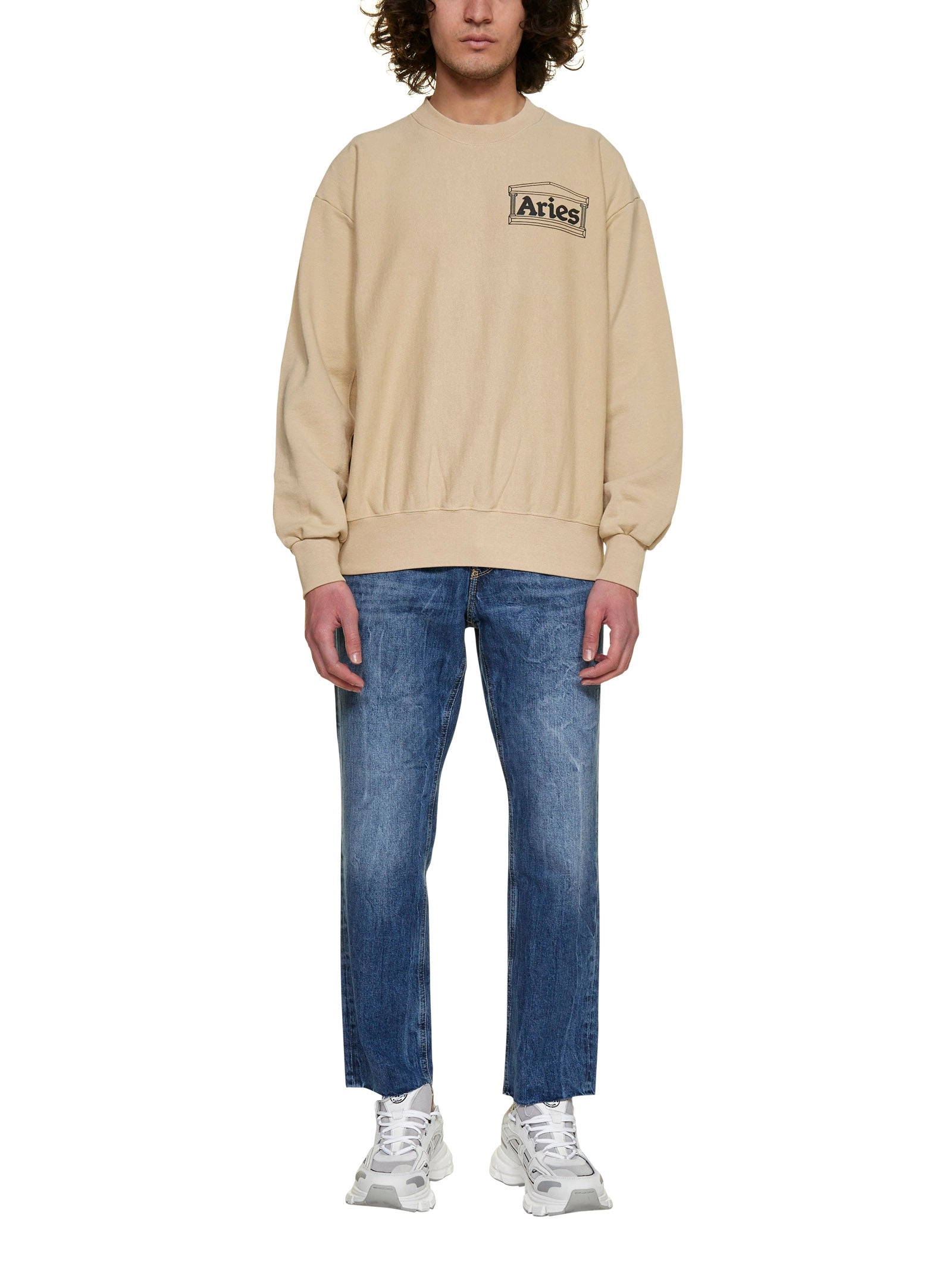 Aries Logo Printed Crewneck Sweatshirt
