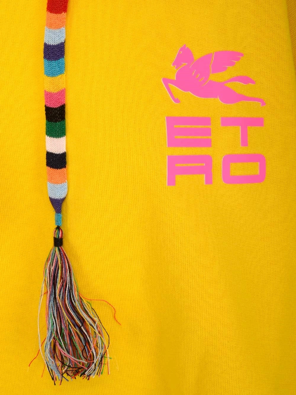 Etro Logo Print Hoodie
