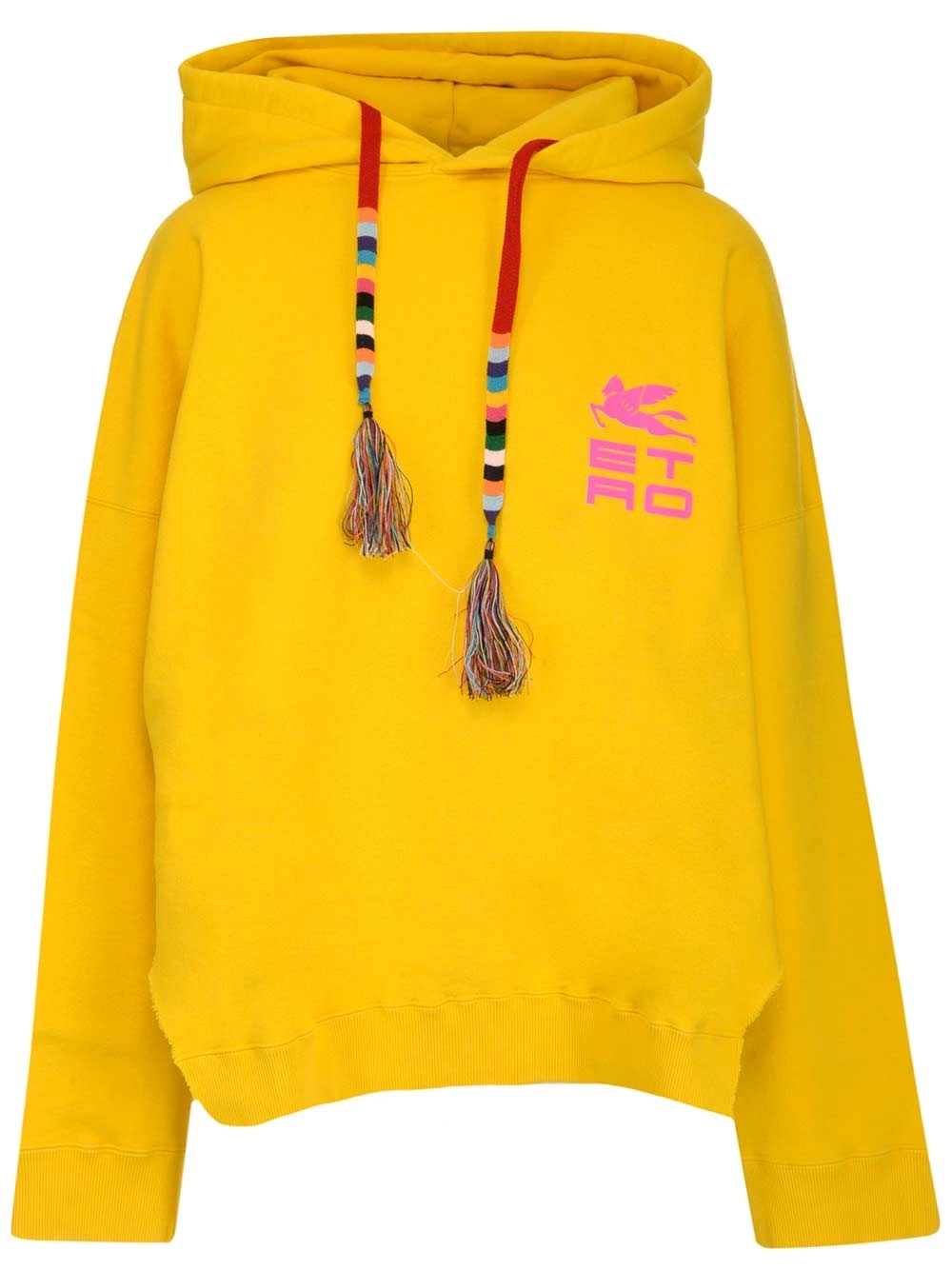 Etro Logo Print Hoodie